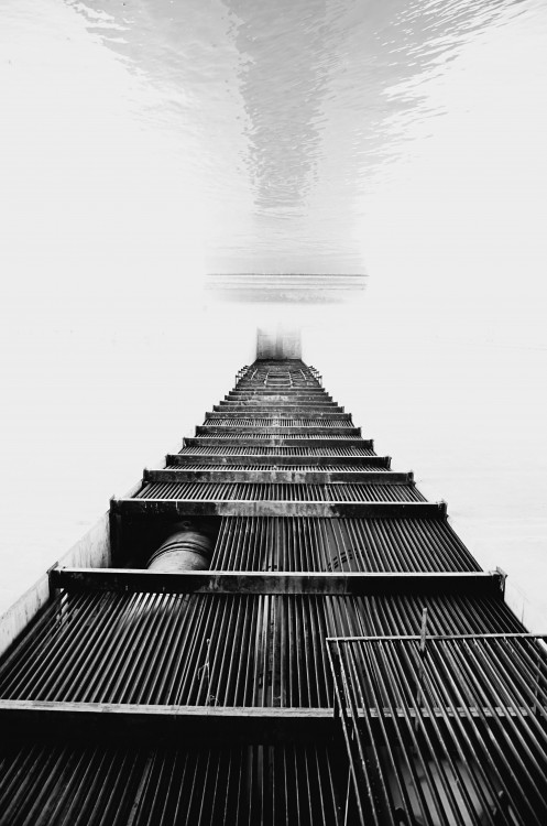"puente" de Federico Salvarredy
