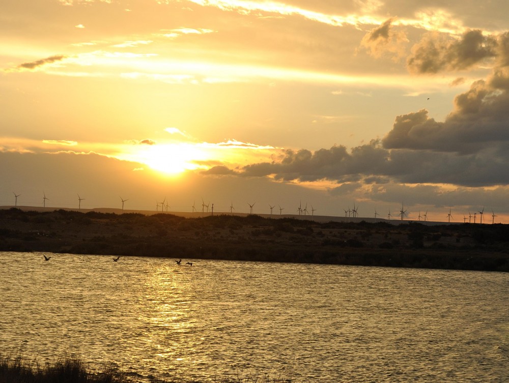 "Atardecer entre molinos" de Diego Ren Quintana