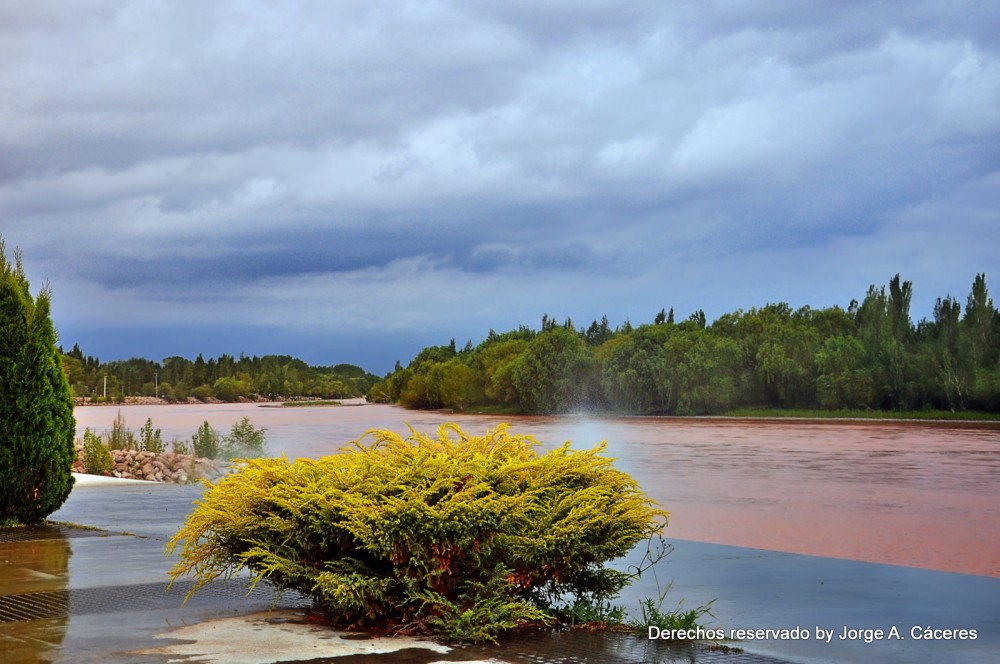 "`Limay Marron`....rompiendo reglas" de Jorge A. Cceres