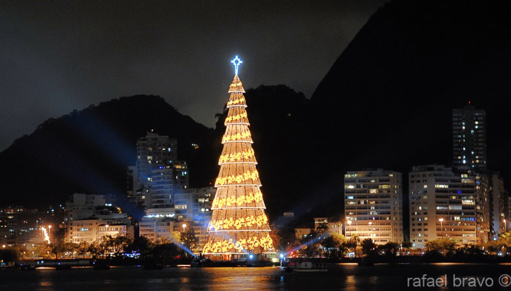 "Arbol Flotante" de Rafael Bravo