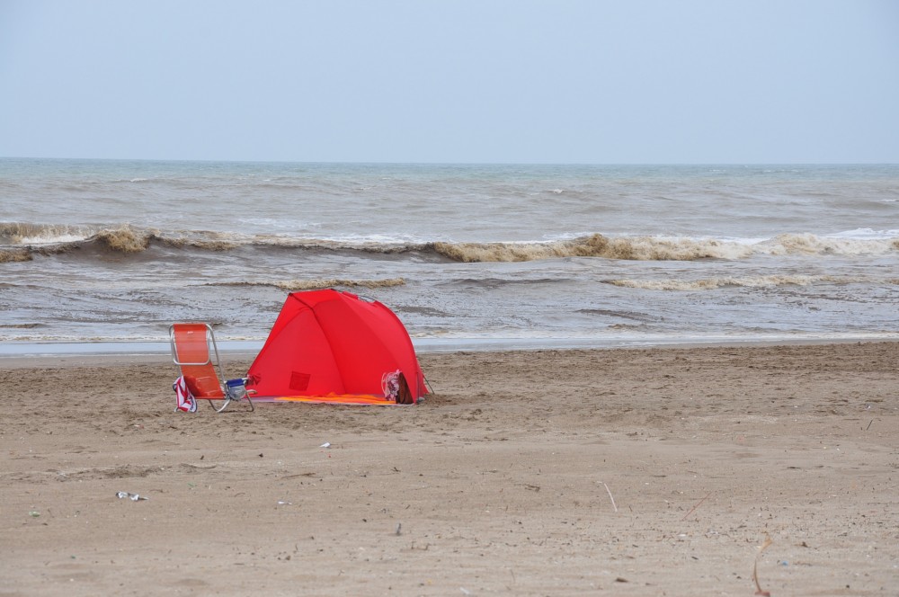 "la carpa roja" de Jose Alberto Vicente