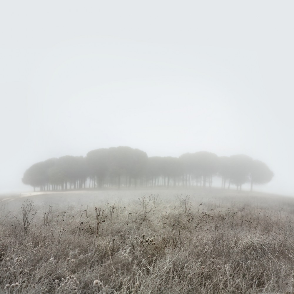 "niebla" de Miguel Vallinas Prieto