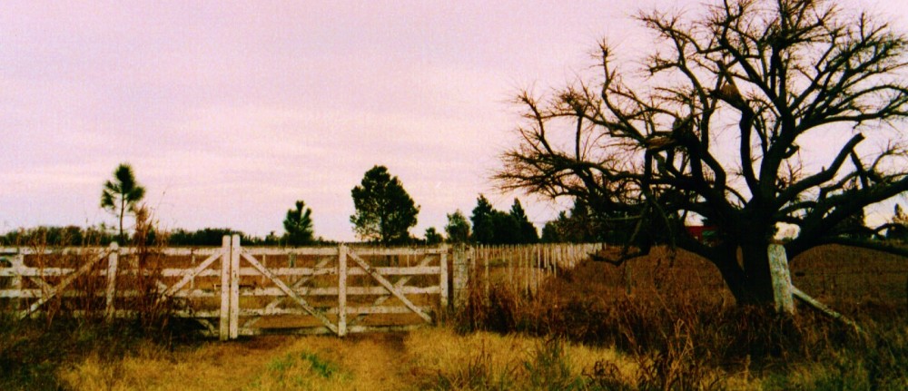 "campestre" de Leonardo Bertolino