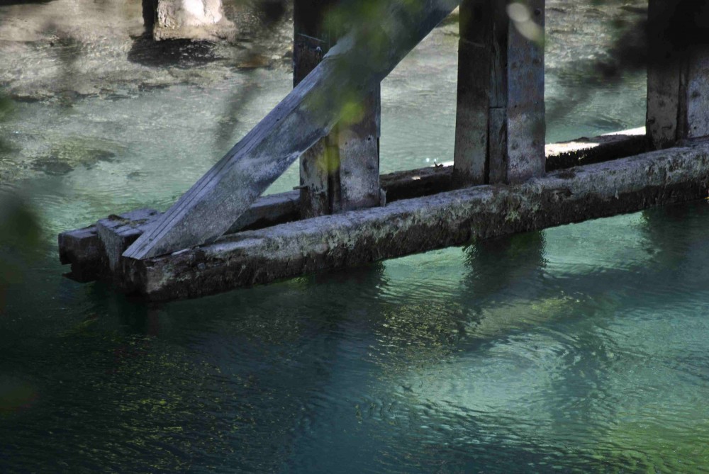 "Bajo el puente" de Patricia Ins Arata