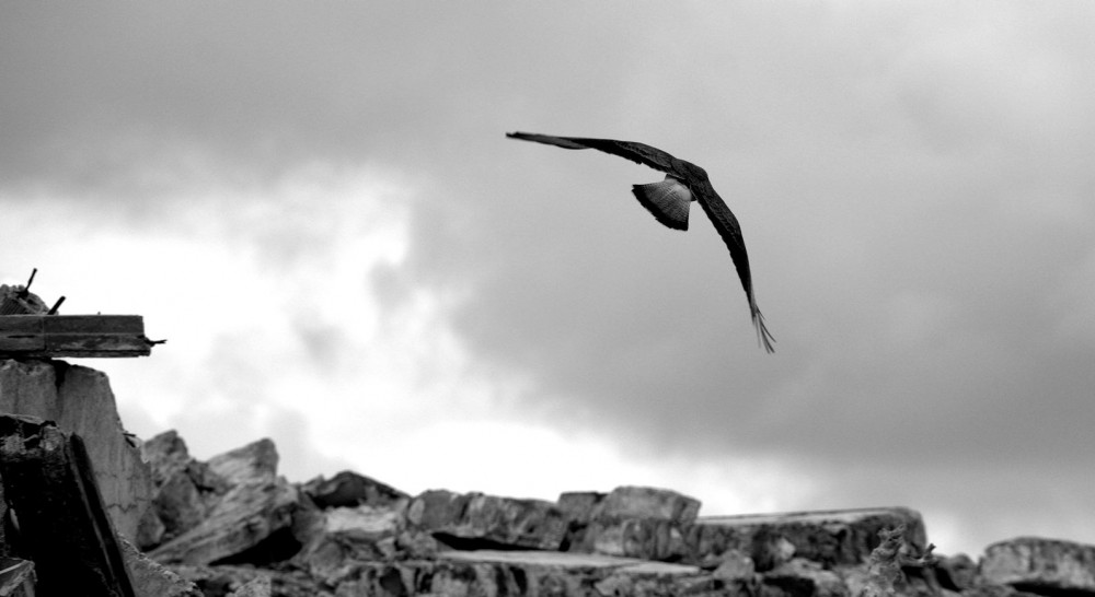 "sobrevolando" de Noemi Gomez