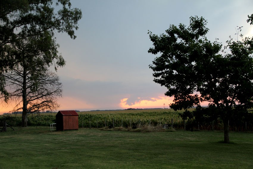 "atardecer en el campo" de Vernica Dana