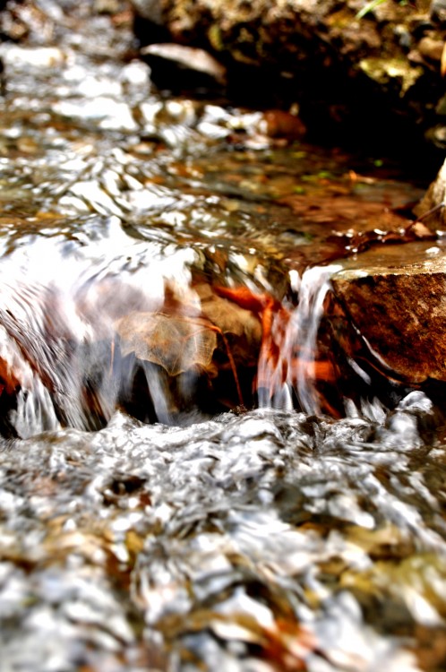 "de l`eau" de Agostina Deiana