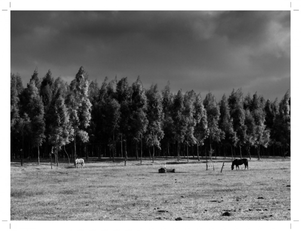 "Paisaje para un Hermano." de Claudio Nicastro