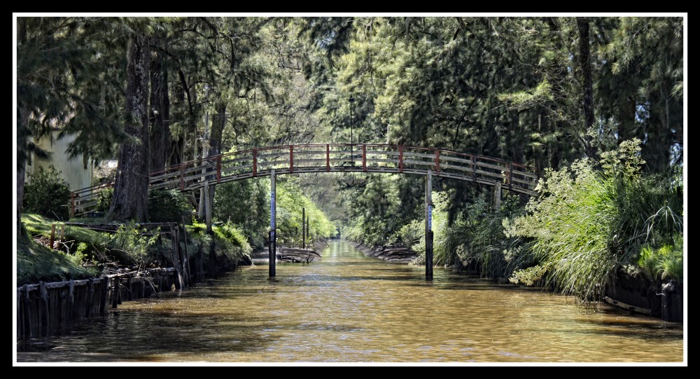 "El puente" de Hugo Lorenzo