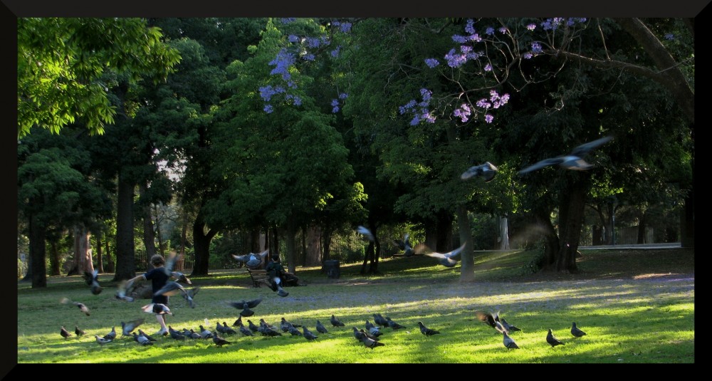 "Tarde en el parque" de Pablo Esteban Morales