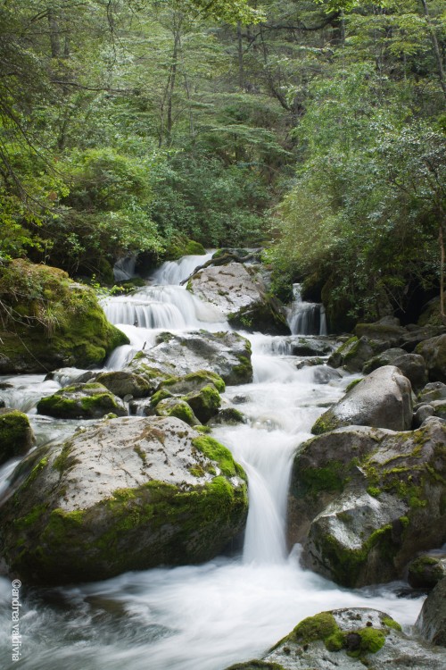 "Feng Shui natural" de Andrea Valdivia