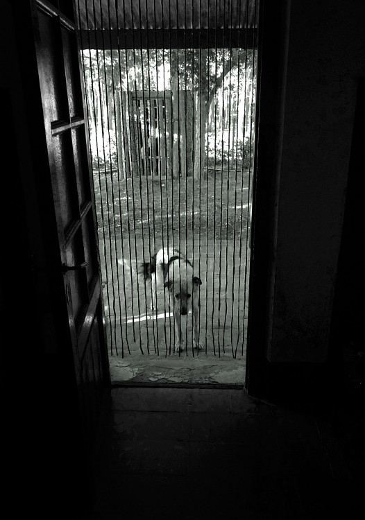 "puedo entrar?" de Eduardo Ponssa