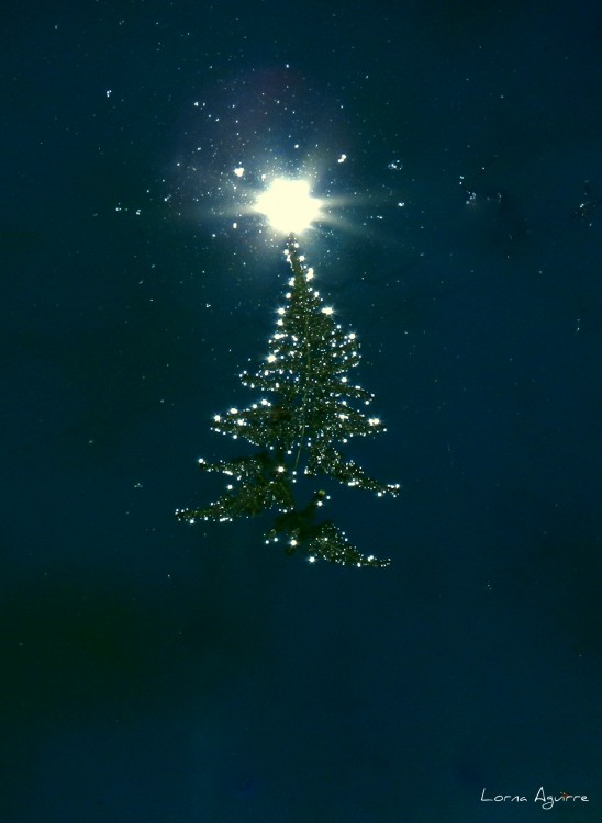 "Navidad en el cielo?" de Lorna Aguirre