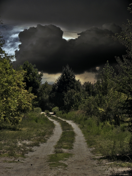 "Camino de tormentas" de Ricardo Cascio