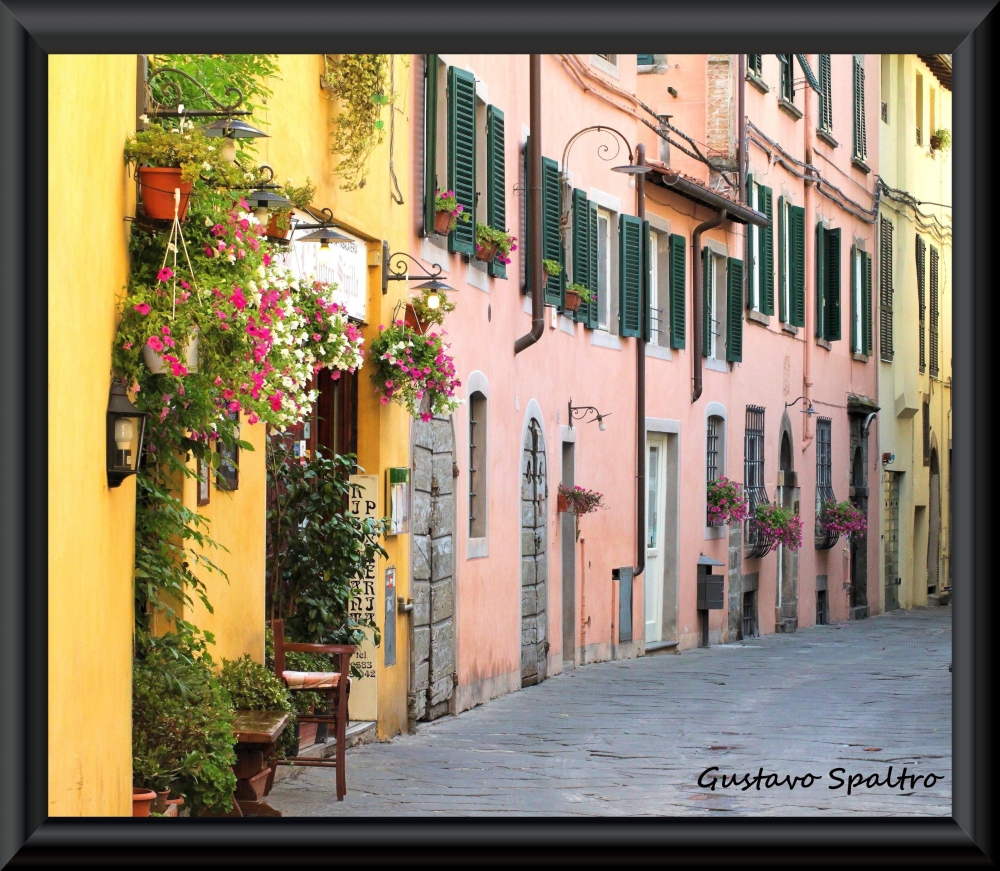 "Lucca, calle con flores" de Gustavo Spaltro