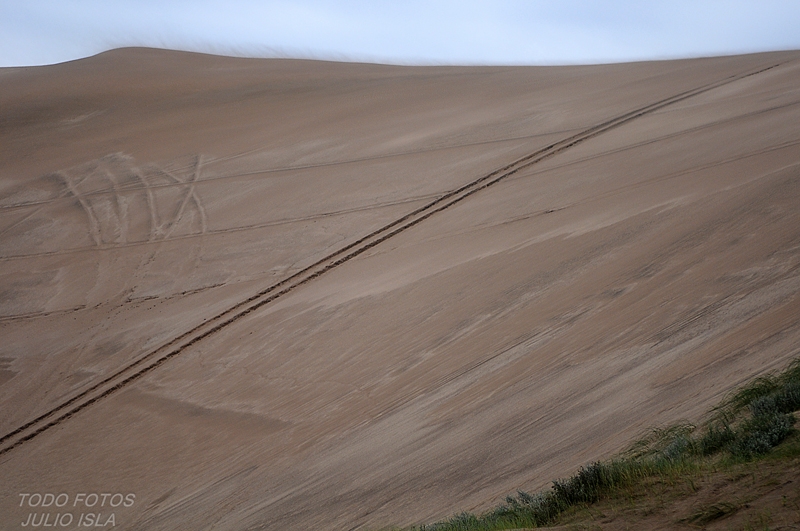 "NECOCHEA ` MEDANO BLANCO 2`" de Julio Cesar Isla