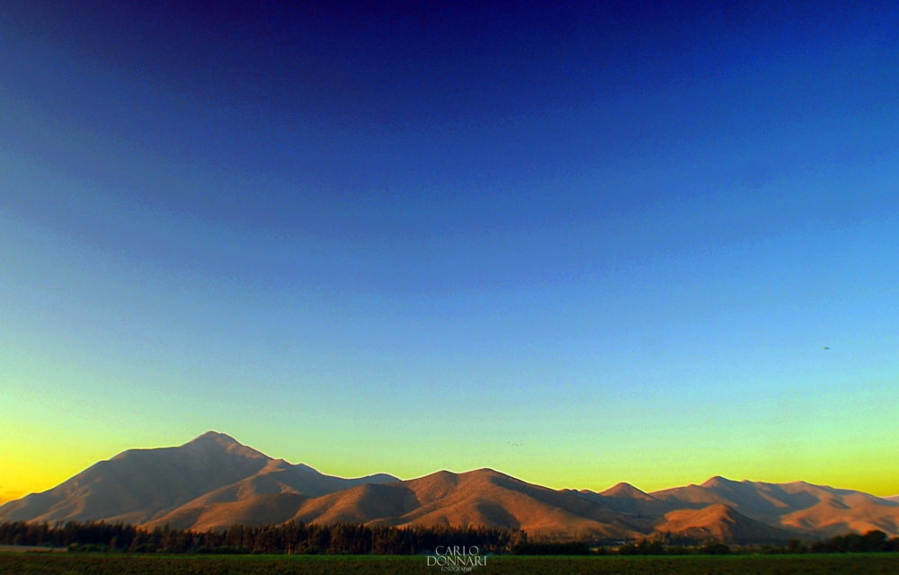 "Paisaje Veloz" de Carlo Donnari