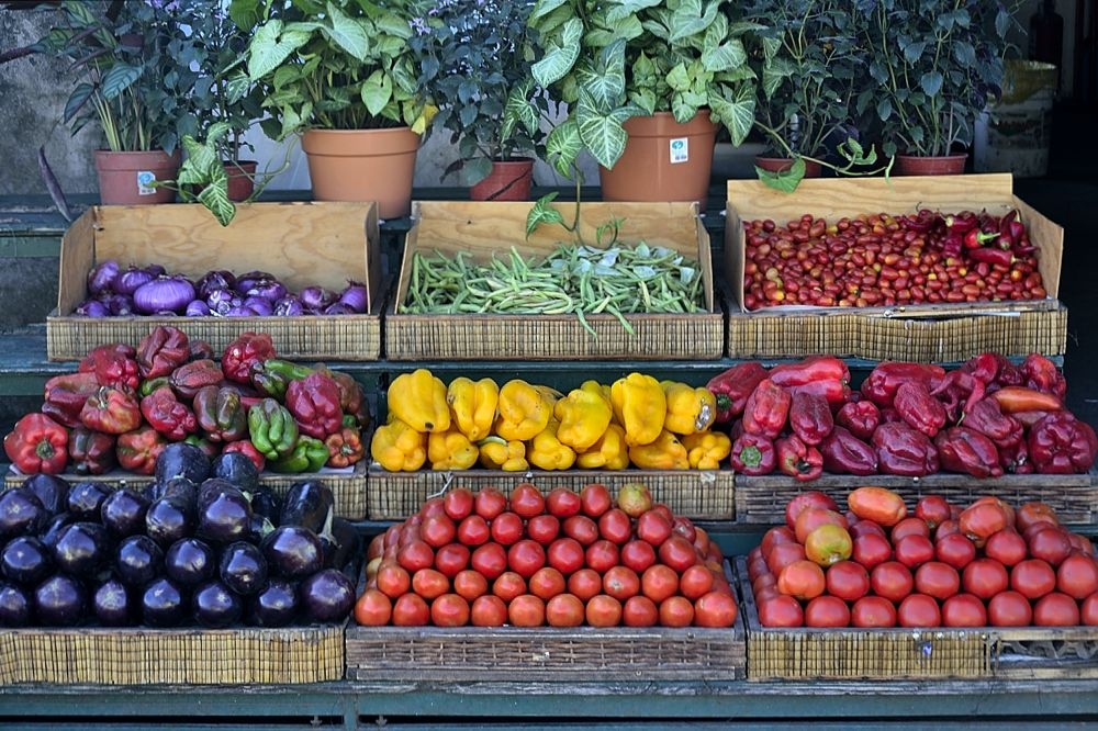 "Mercado de Colores (II)" de Hctor Fassi