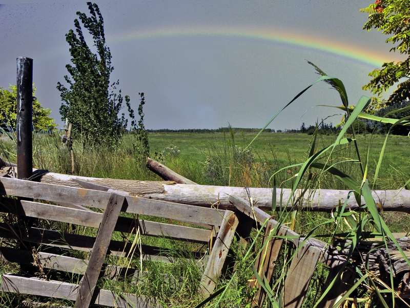 "Mas aca del arco iris" de Ricardo Cascio