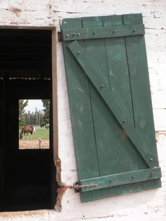 "ventana campestre" de Roxana Meli