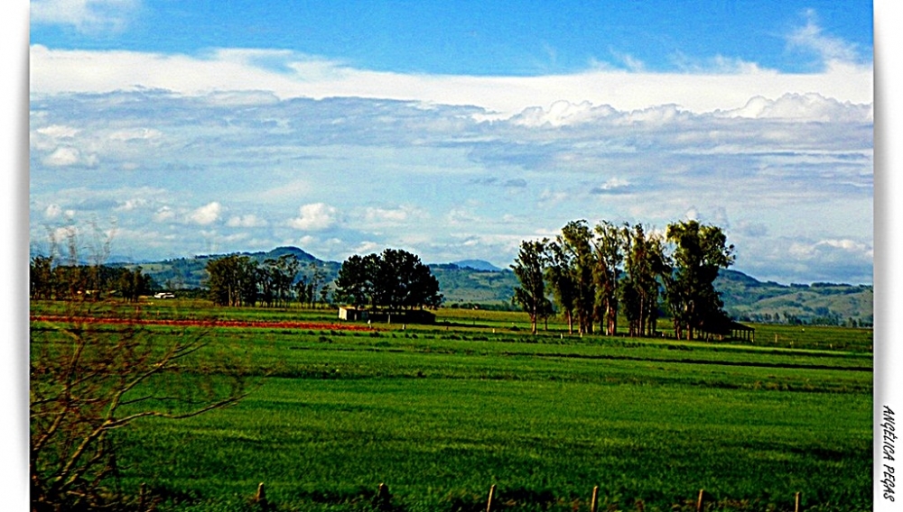 "PAISAJEN EN LA RODOVA,." de Anglica Pegas