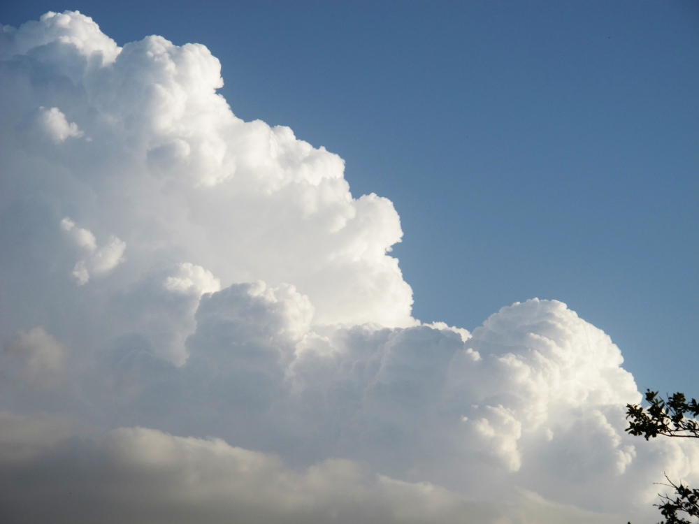 "nubes de algodn" de Sandra Patricia Tello