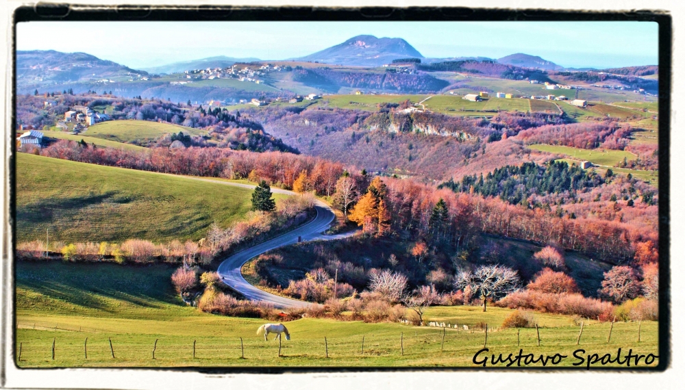 "Paisaje con caballo" de Gustavo Spaltro