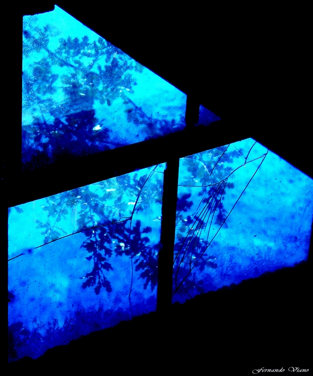 "Reflejos en azul" de Fernando Viano