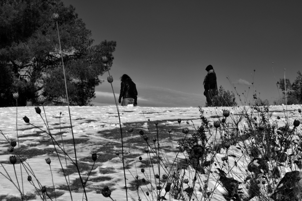 "Cardos,nieve y dos personas" de Francisco Jos Cerd Ortiz