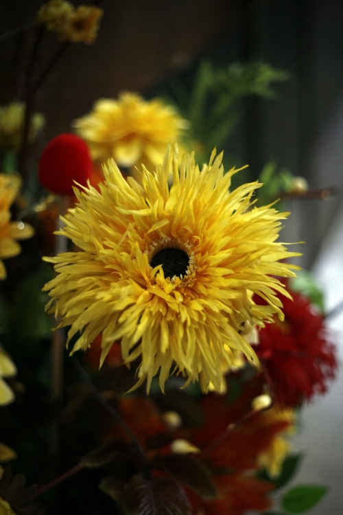 "Flor Amarilla" de Brbara M. Sciacaluga