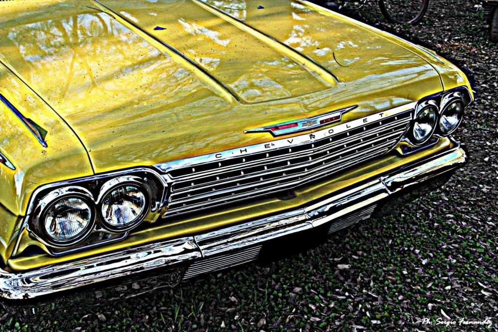 "Impala II" de Sergio Fernandez