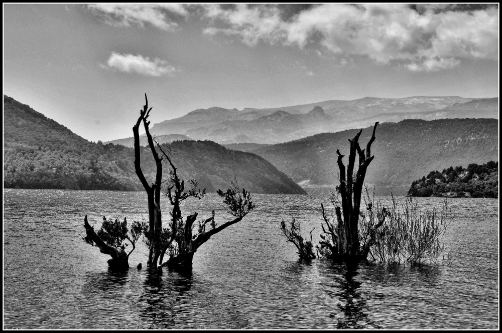 "Bajo agua" de Mabel Ana Solvas