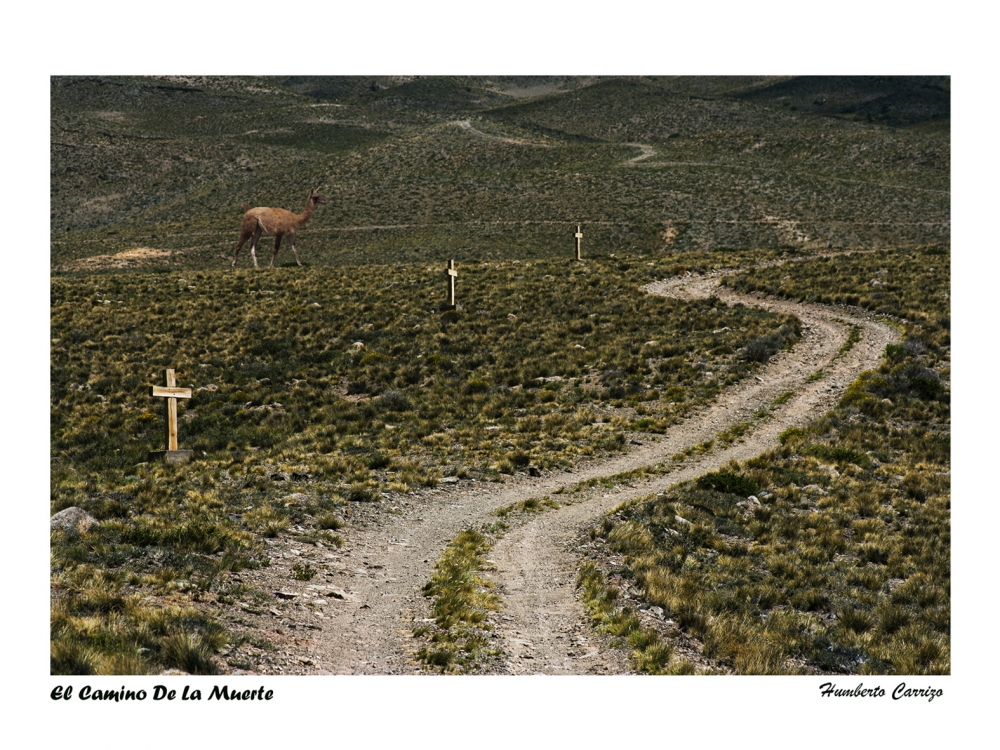 "El Camino De La Muerte" de Humberto Nicols Carrizo