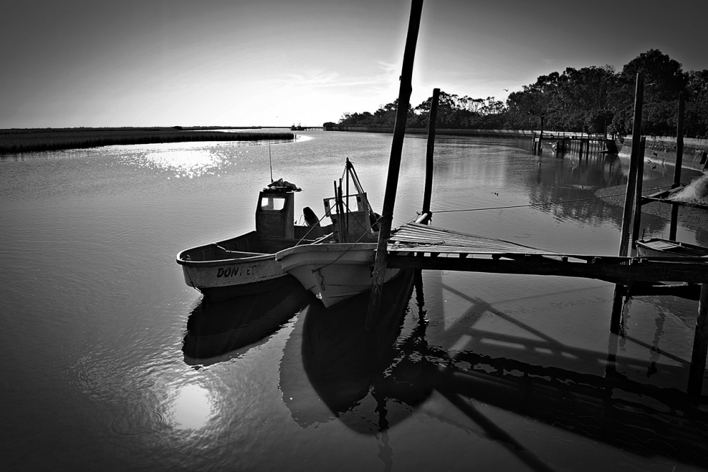 "El viejo muelle" de Alberto Elizalde