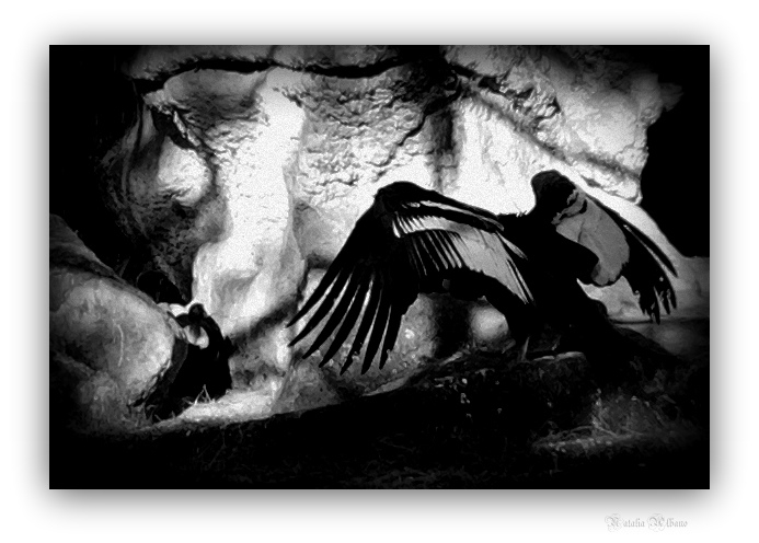 "Despliega tus alas" de Natalia Albano