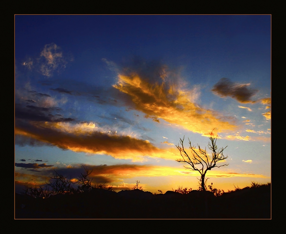 "Un rbol encendido de cielo" de Eli - Elisabet Ferrari