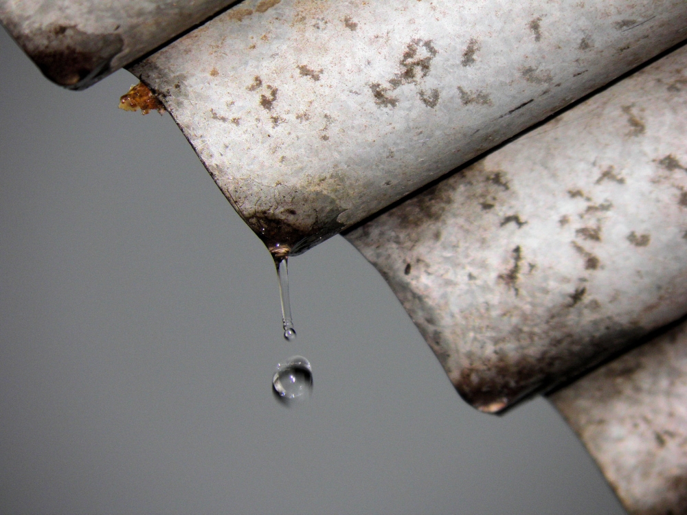 "Lluvia al fin!" de Diego Cazorla Artieda