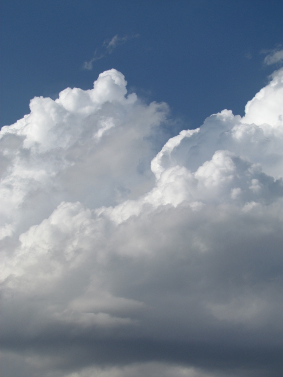 "TORMENTA DE VERANO..." de Blanca Elena Ferrero