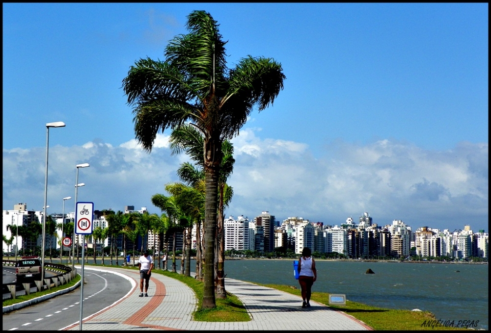 "UNA MAANA EN LA AV. BEIRA MAR .. FLORIPA.." de Anglica Pegas