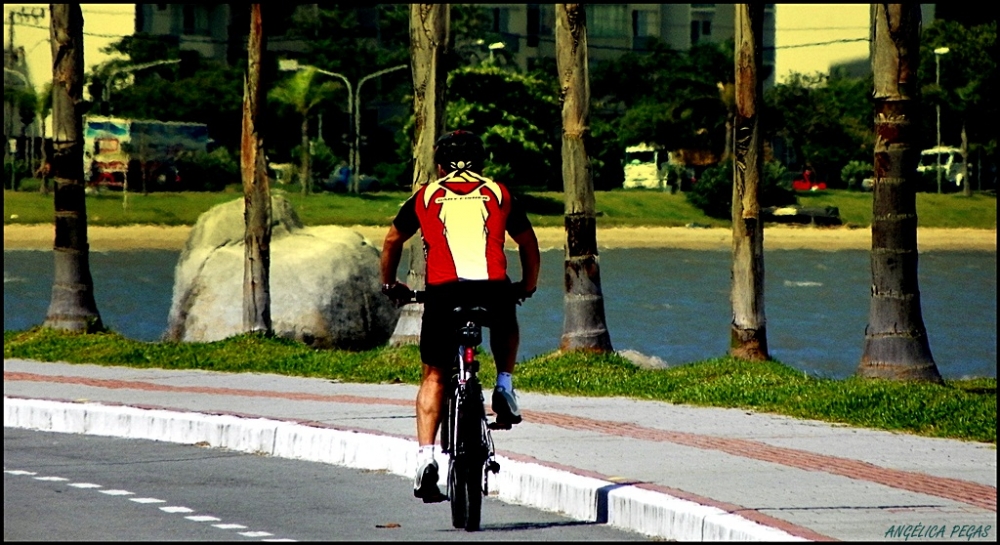 "LO CICLISTA..." de Anglica Pegas