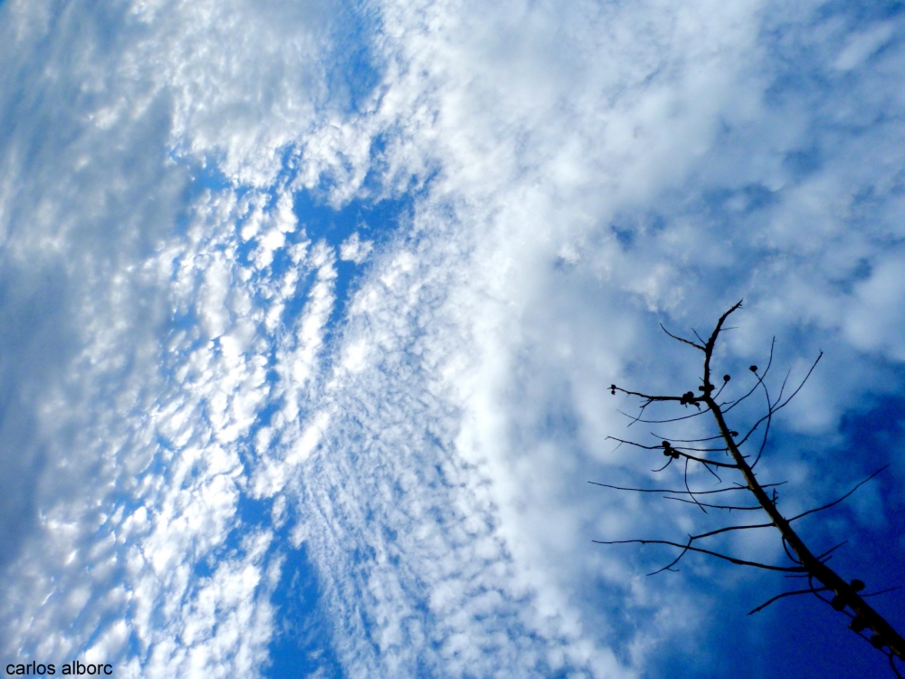 "cielo" de Carlos Alborc