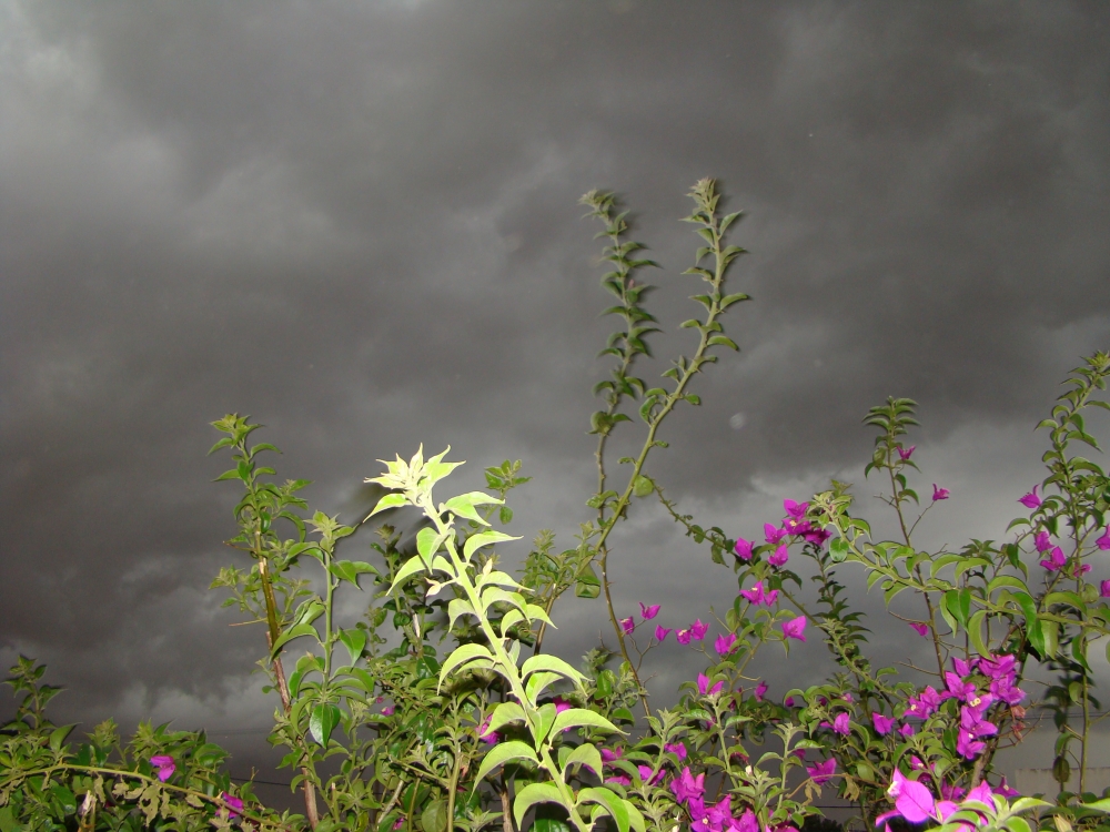 "Antes de llover" de Mara Andreadiaz