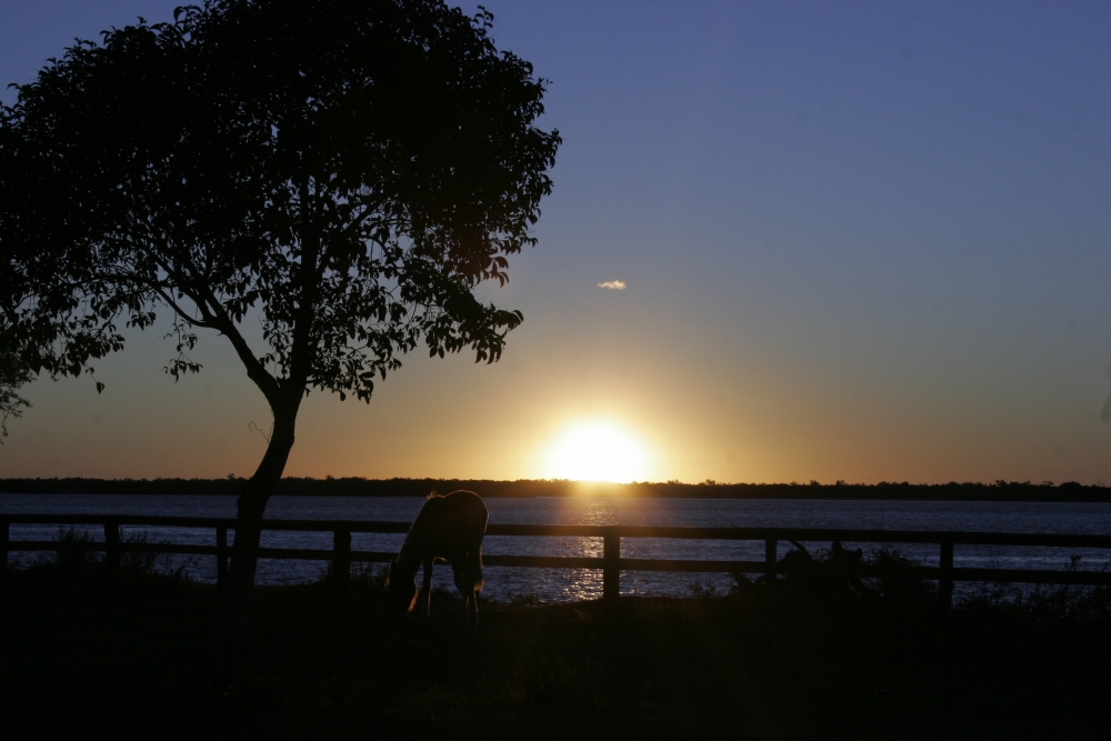 "ATARDECER" de Ana Maria Di Cola