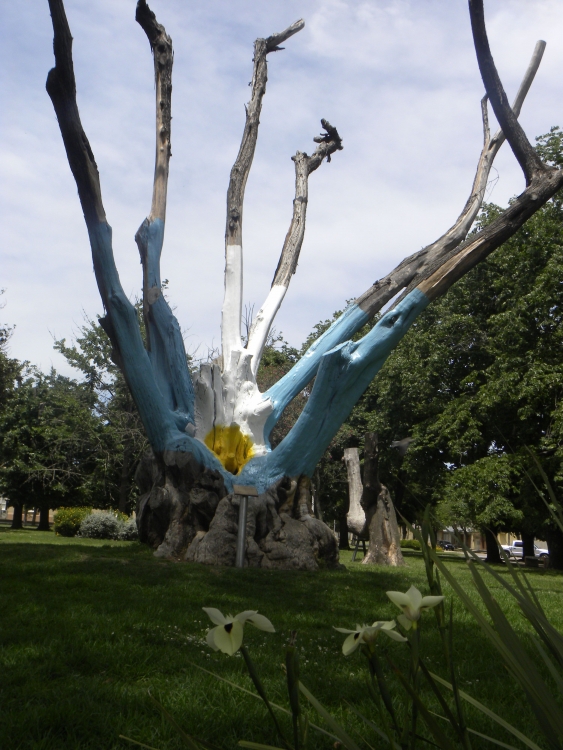 "El rbol seco de mi plaza" de Silvia Mdica