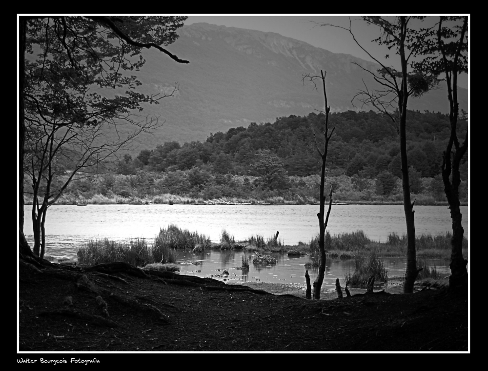 "Un lago..." de Walter Bourgeois