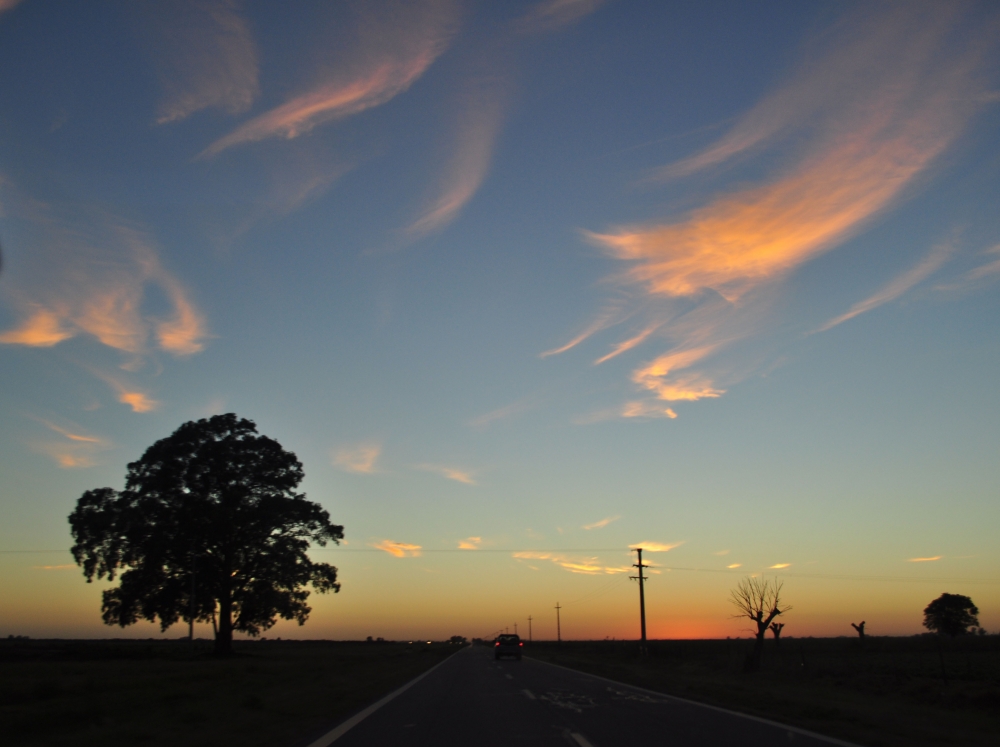 "pintamos el amanecer y salimos de viaje" de Edi Viviana Gautero