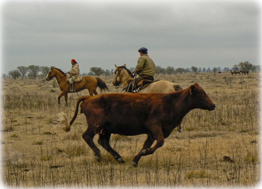 "Cuadro rural" de Carlos Alberto Funes