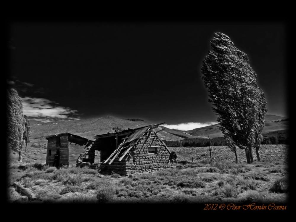 "El viento azota" de Csar Hernn Cassina