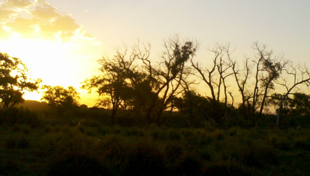 "ATARDECER ARDIENTE" de Jos Rubn Gutierrez