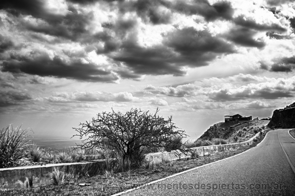 "Piedra y camino" de Sergio Marcelo Redondo